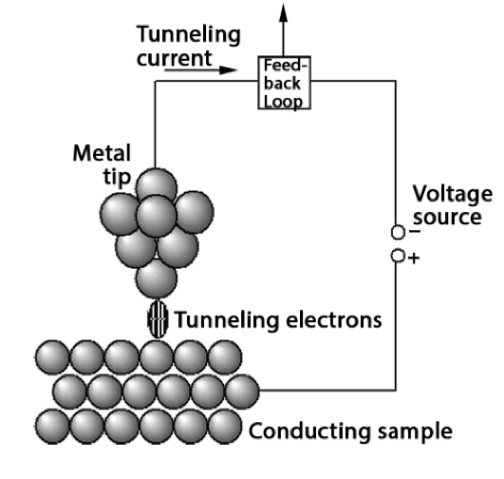 scanning tunneling microscope ibm